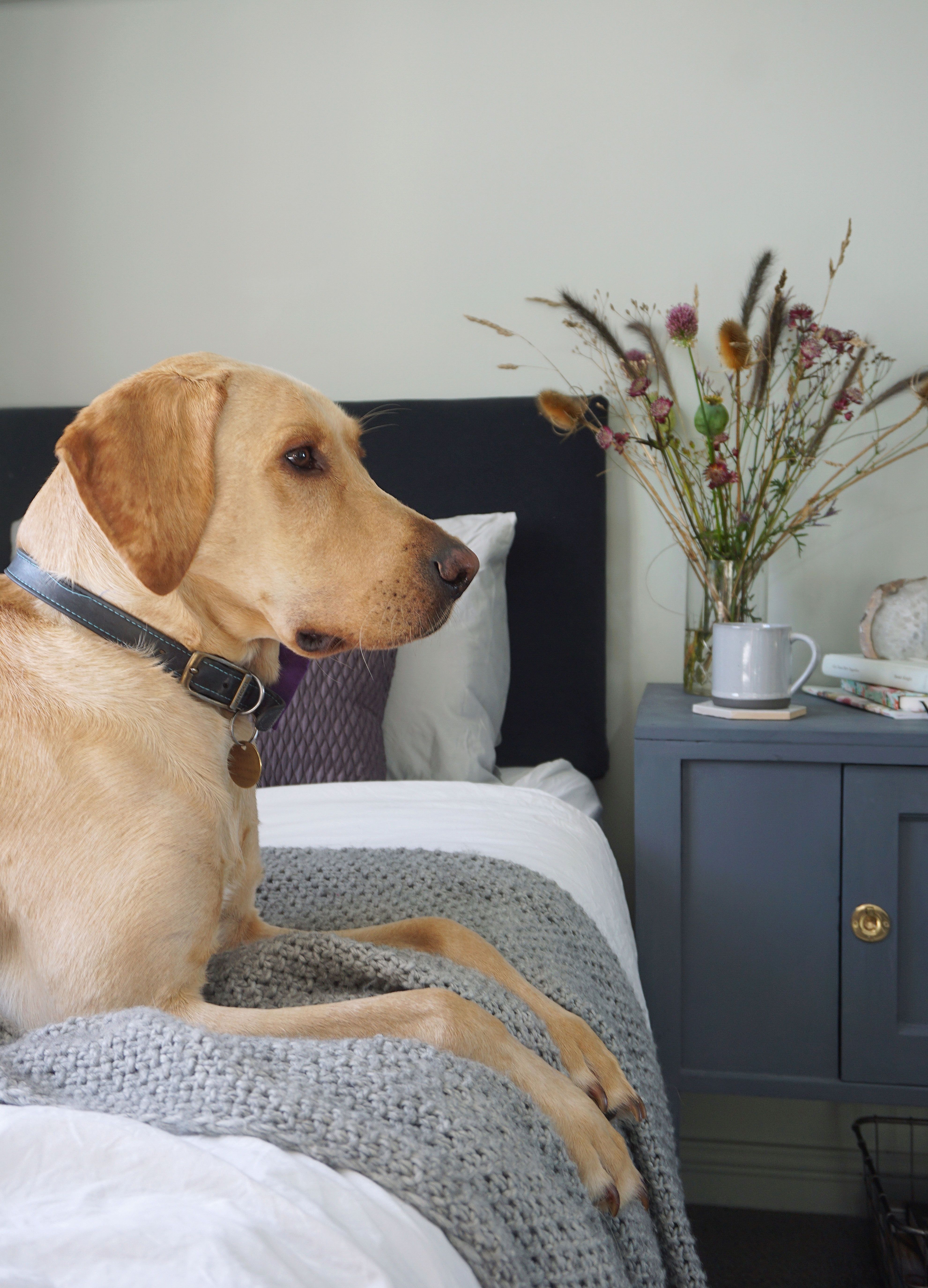 Farrow and Ball light blue bedroom 