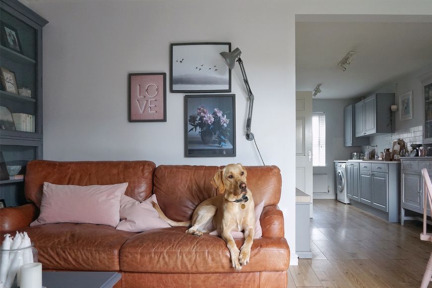 Tan leather sofa and Labrador 