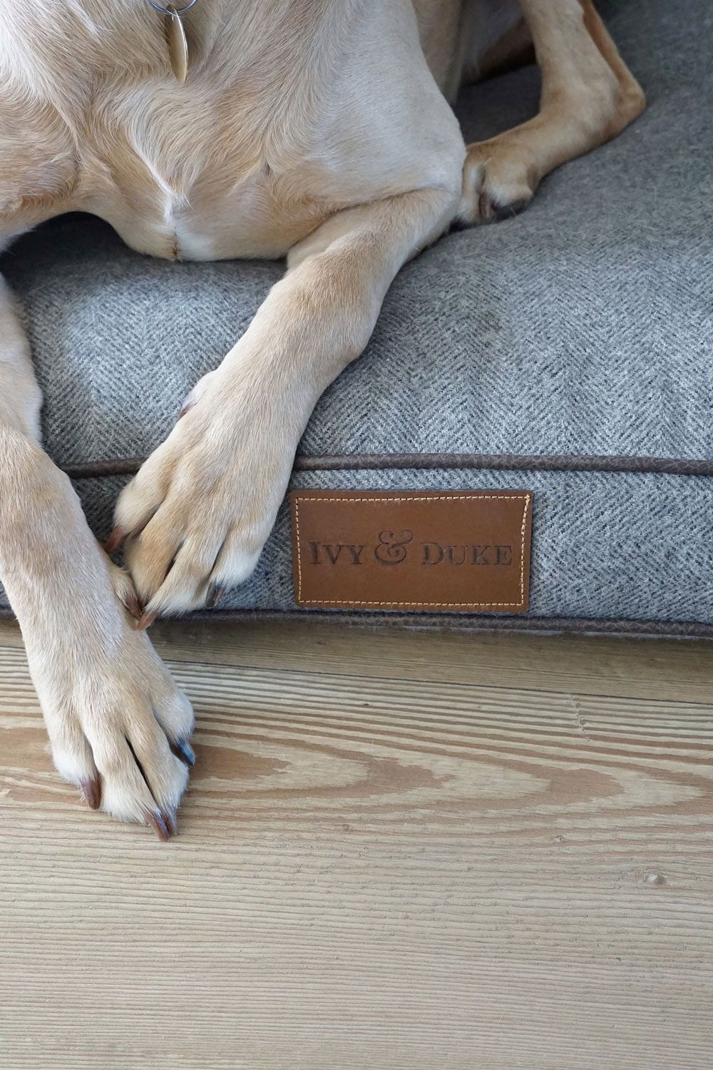 Stylist pet accessories dog bed 